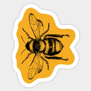 Bumble Bee Sticker